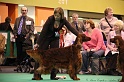 Crufts2011_2 151